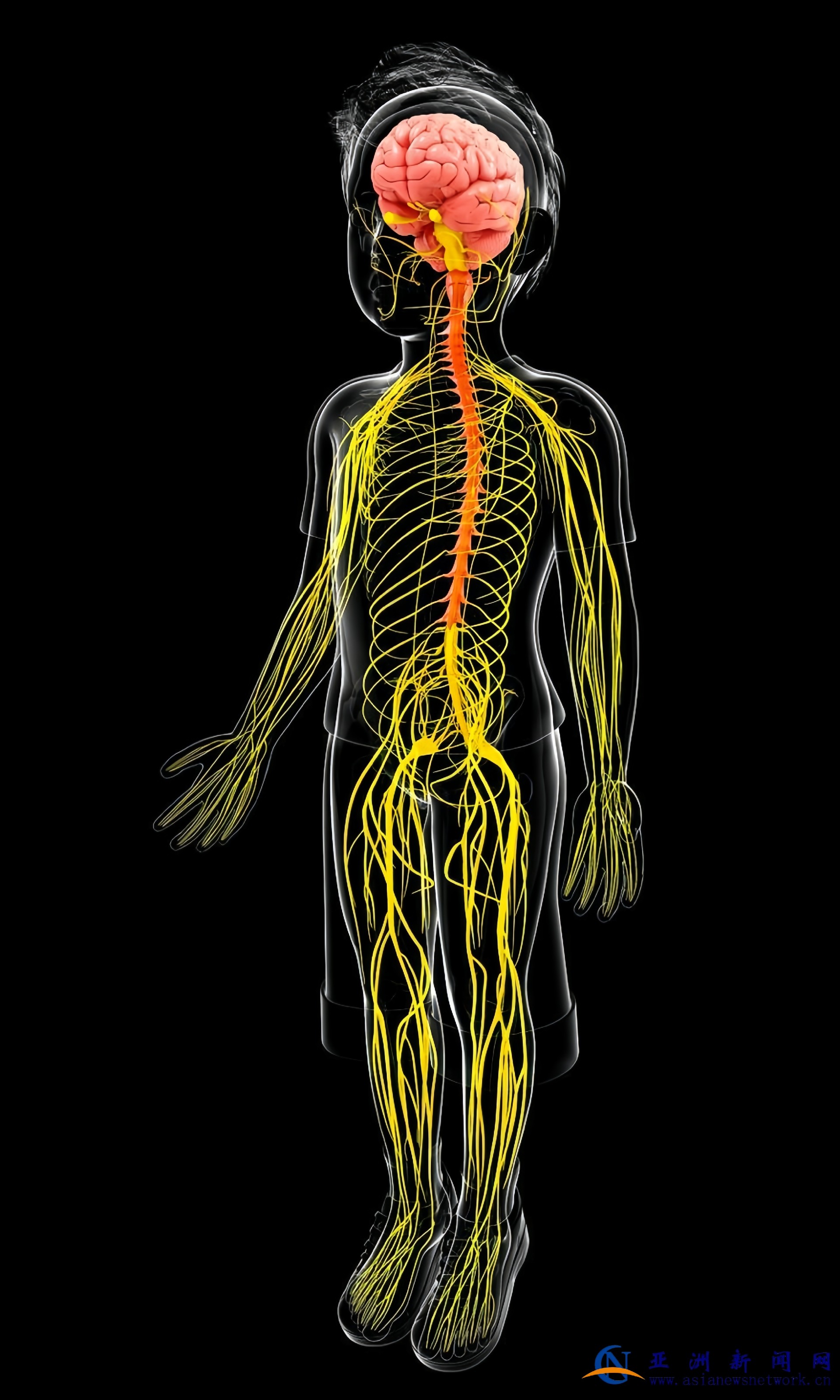 1773394012797243.jpg 1773394012797243.jpg